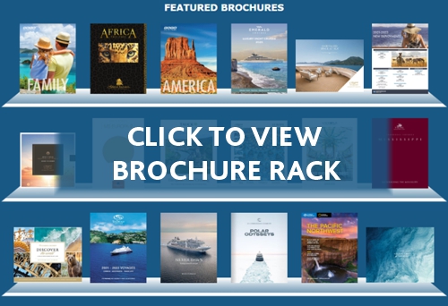Brochure Rack